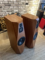 Avalon Acoustics Eidolon Vision