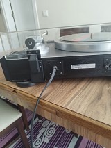 Pioneer PİONEER PL 7L 