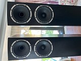 Fyne Audio F 501